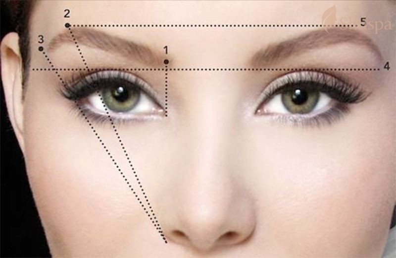 Cần hiểu rõ đặc điểm và cách tạo lông mày chữ bát để tránh những sai lầm không mong muốn
