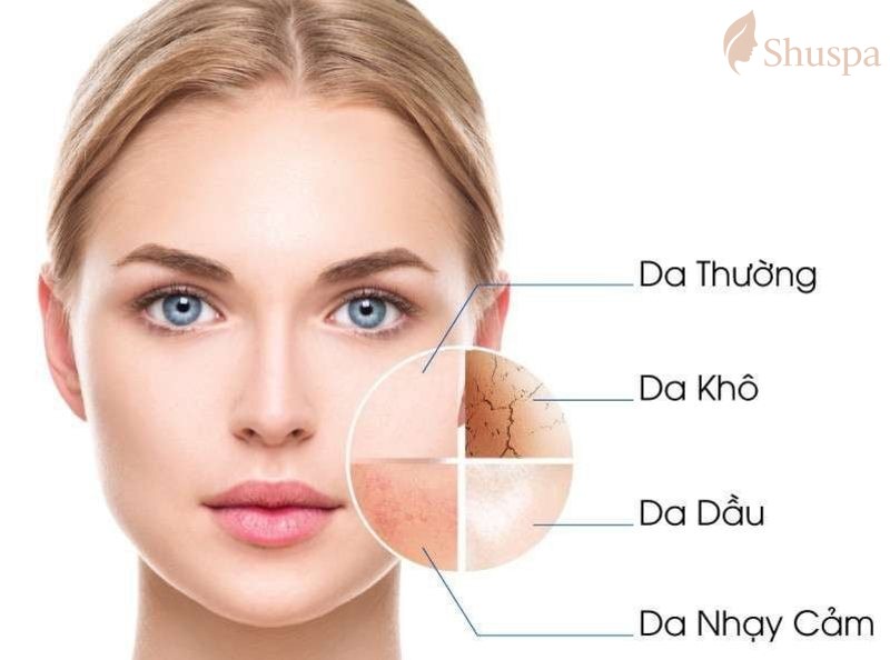 Cần phân biệt rõ da dầu và các loại da khác
