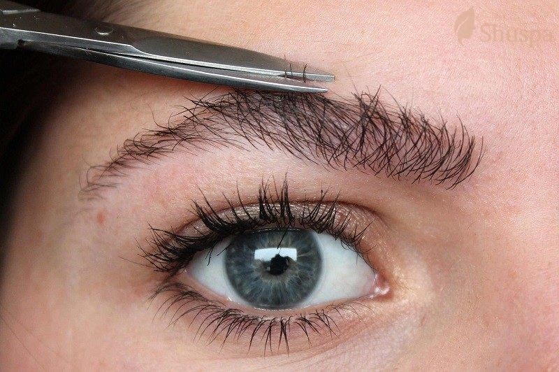 Một số phương pháp tạo kiểu lông mày dựng ngược được quan tâm